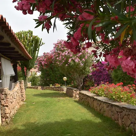 Splendida Tavolara 1 Casa vacanze Vaccileddi