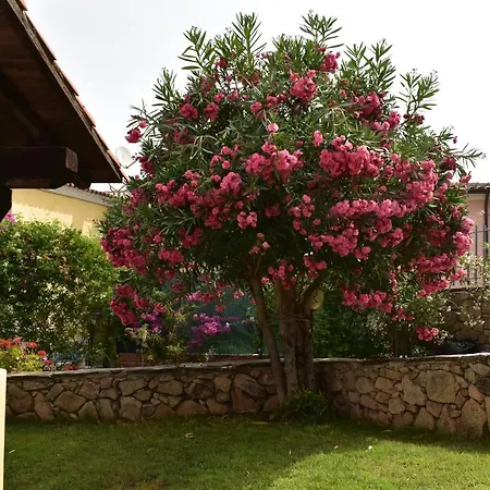 Splendida Tavolara 1 Vaccileddi